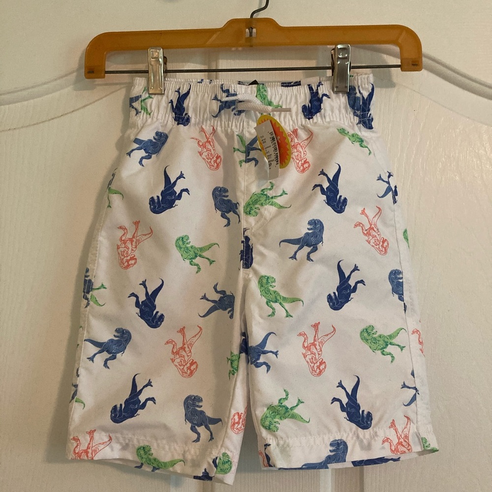 Boys Dinosaur Print Swim Shorts NWT